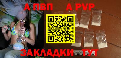 спиды Тверь