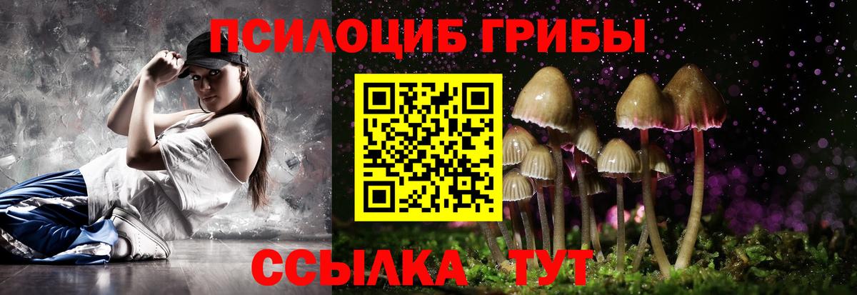 Галлюциногенные грибы мицелий  Галлюциногенные грибы Psilocybe  Павловский Посад  Вход с VPN 